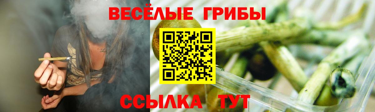Галлюциногенные грибы Cubensis Бор